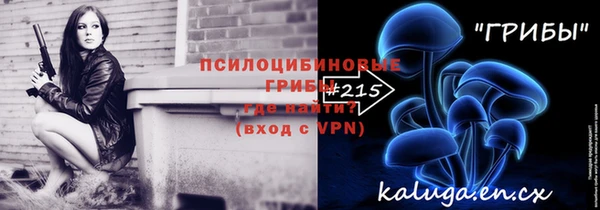 PSILOCYBIN Аркадак