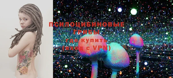 PSILOCYBIN Аркадак
