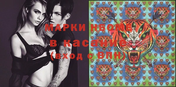 PSILOCYBIN Аркадак