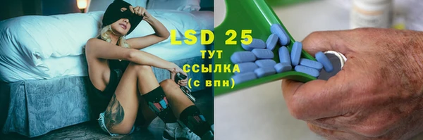 хмурый Арсеньев