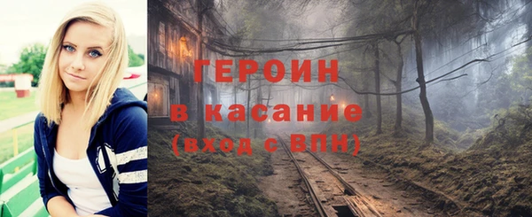 хмурый Арсеньев