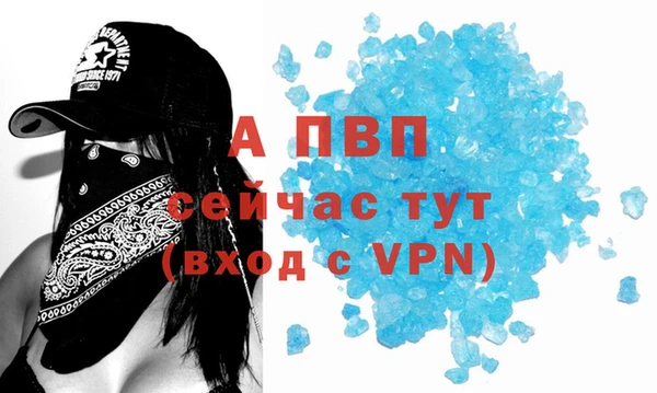 PSILOCYBIN Аркадак
