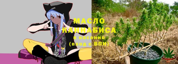 хмурый Арсеньев